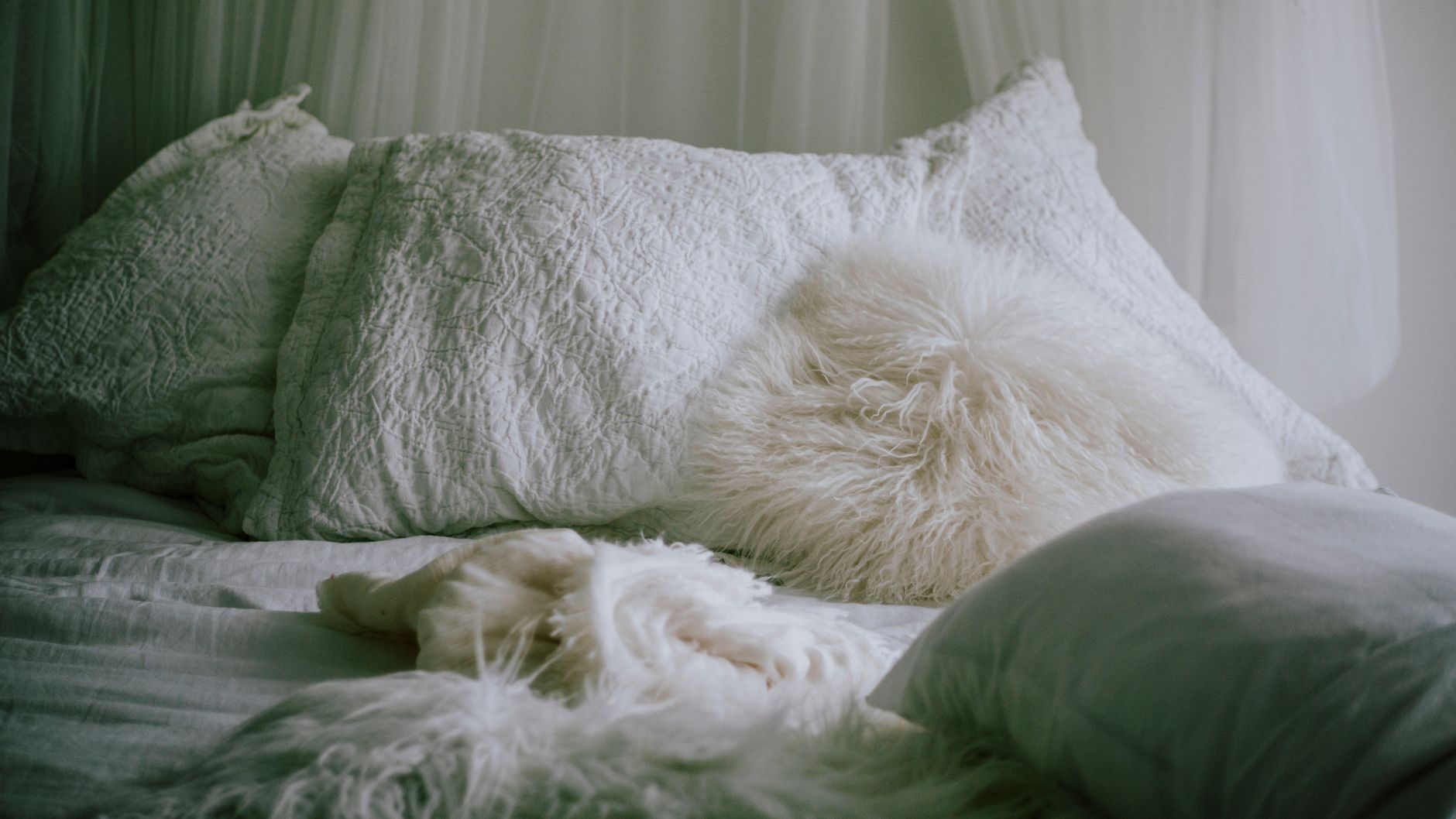 Pillows and a furry throw on a bed