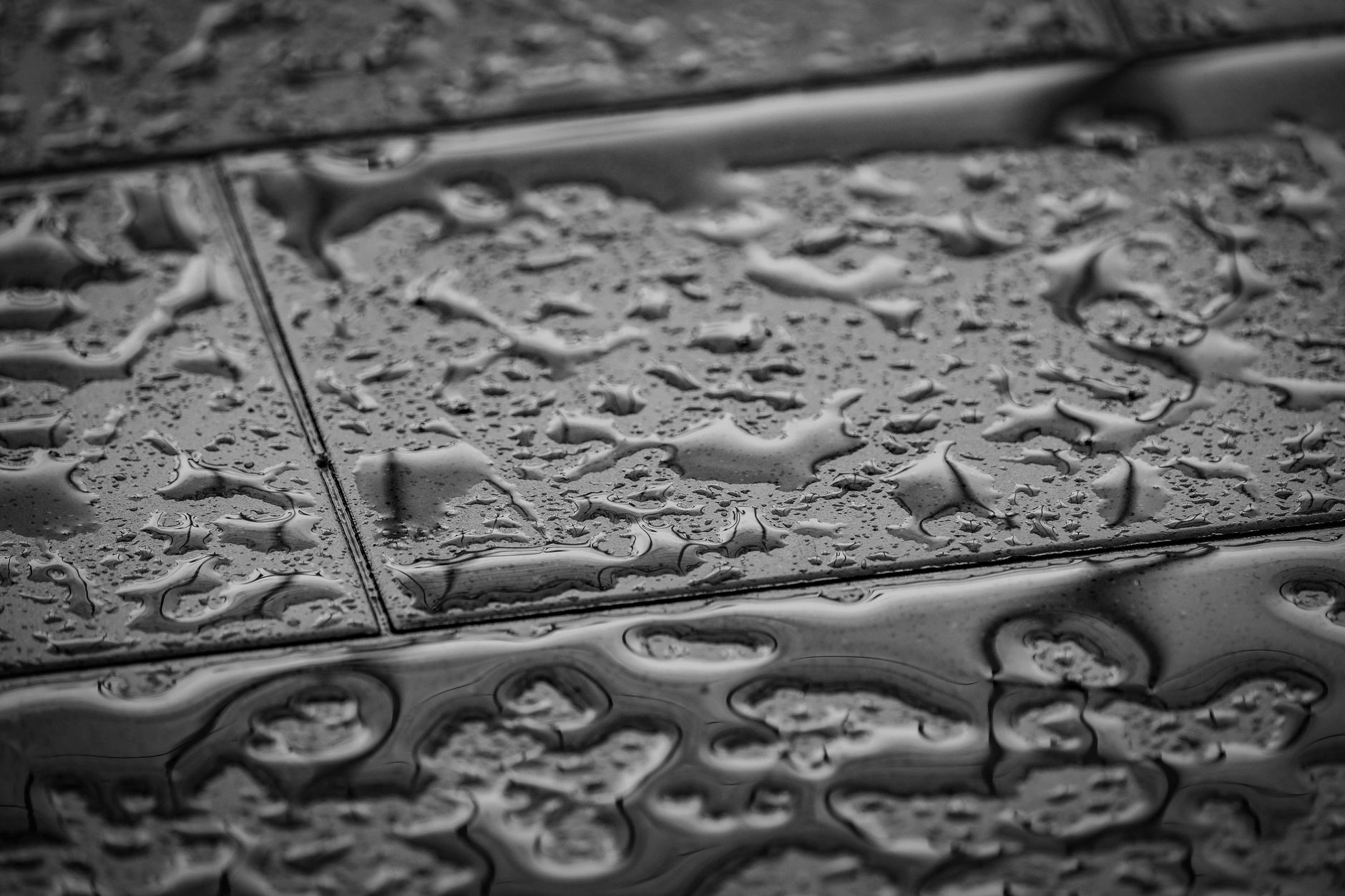Water droplets on floor tiles