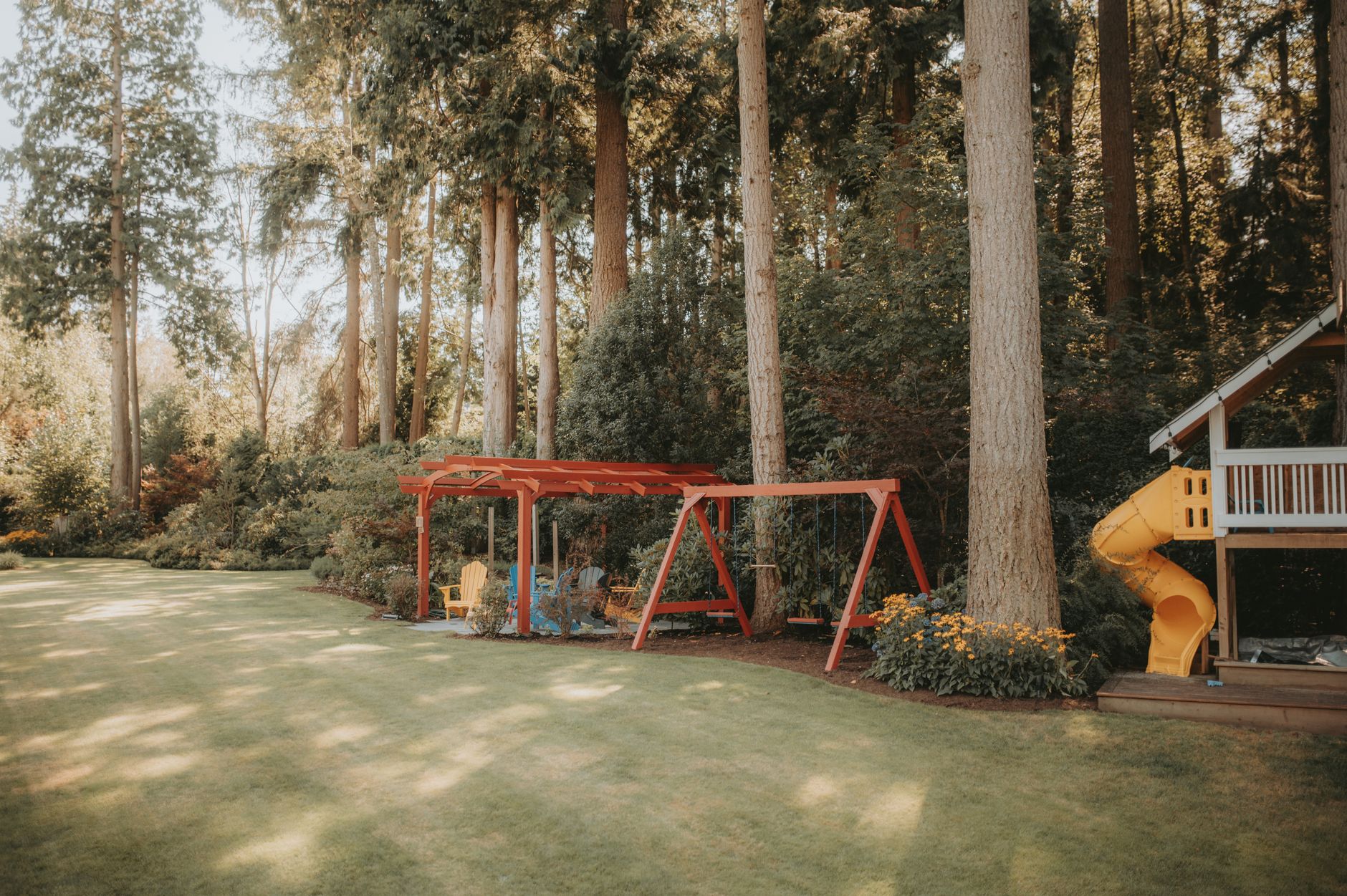 A green backyard lawn with shade trees in summer