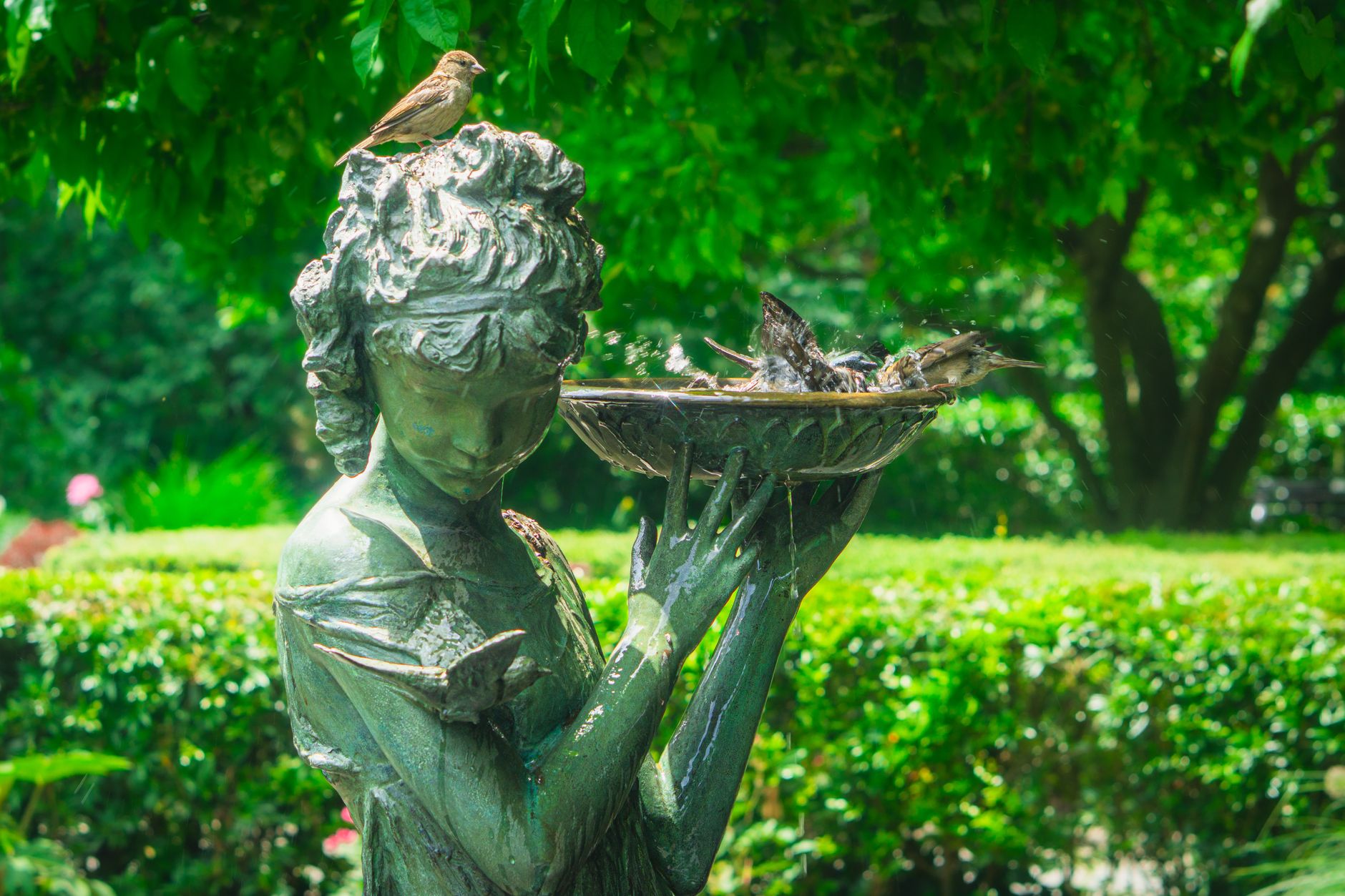 A bird bath standing in a home garden