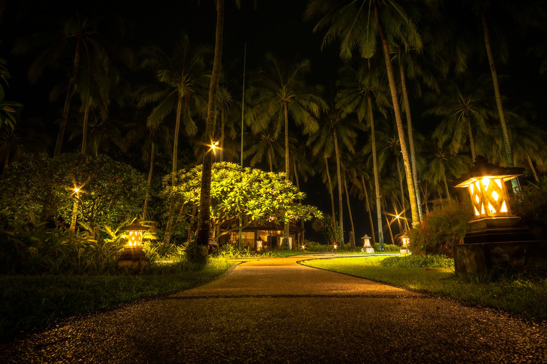 A lantern-lit garden path at night