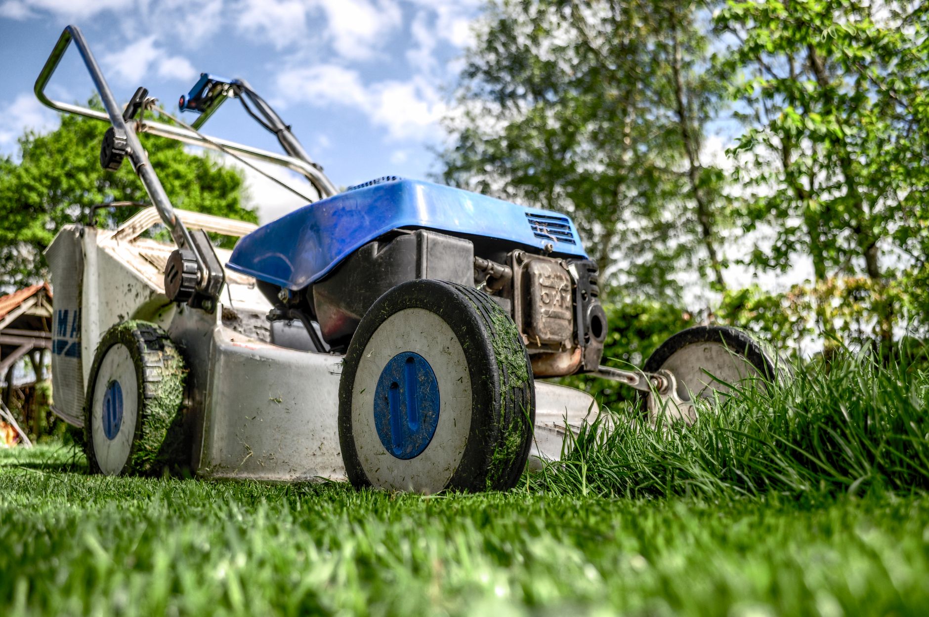 A push mower cutting tall grass