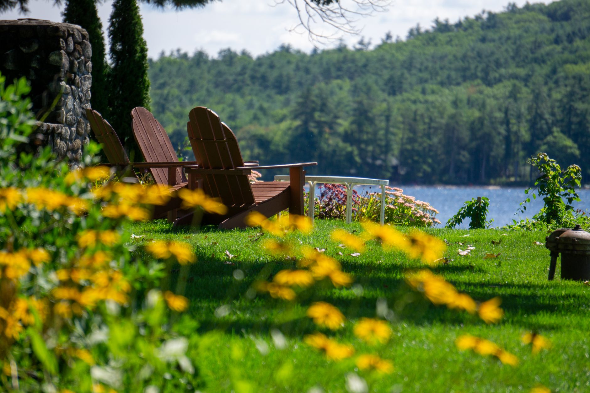 Adirondack chairs set out on a lawn