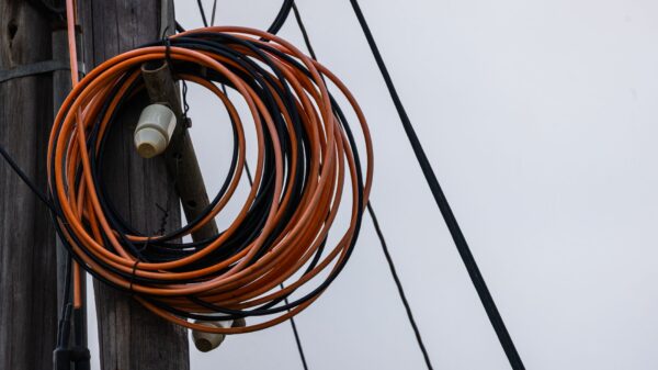 Best outdoor extension cord: a power cord ready for yard work