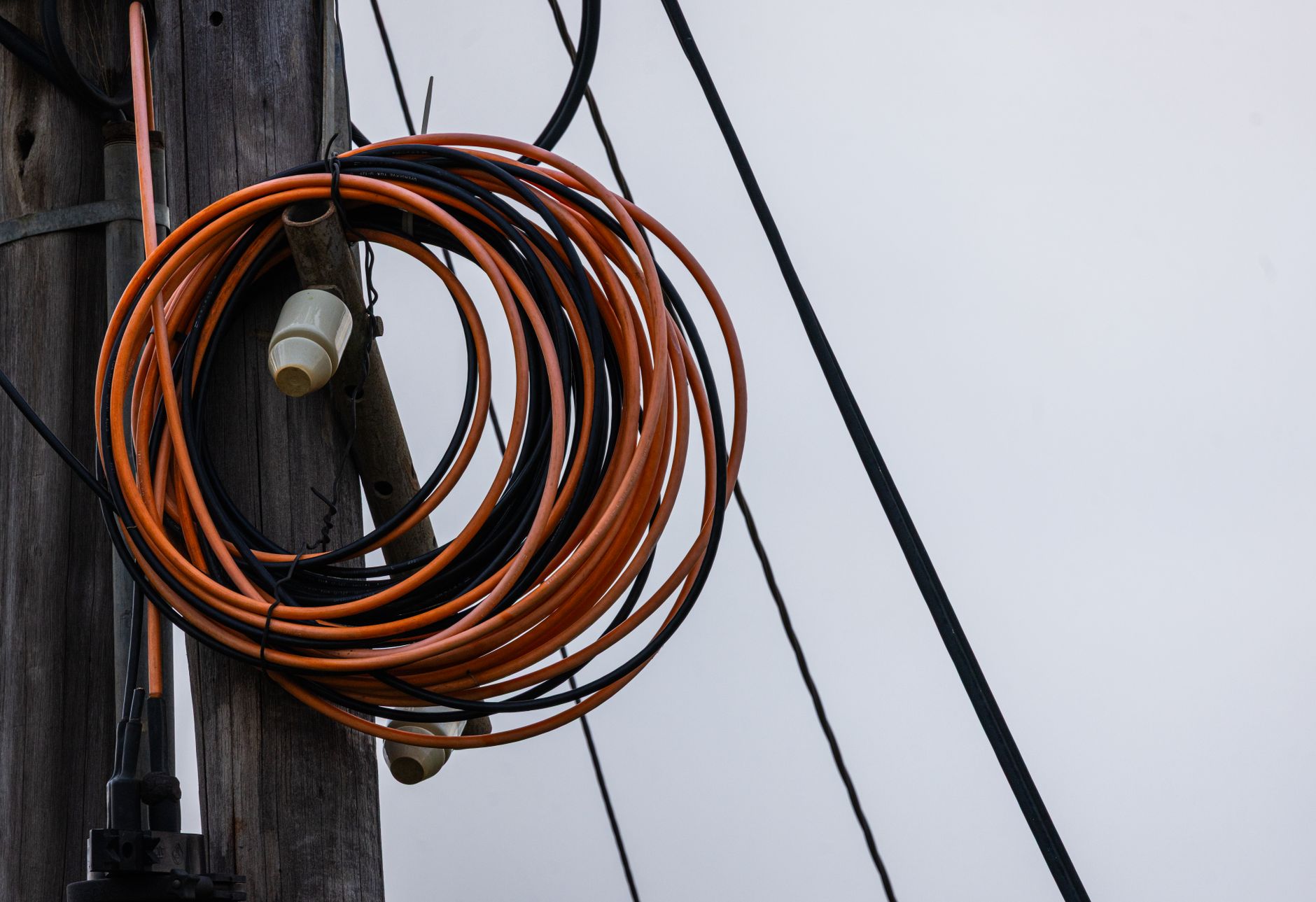Best outdoor extension cord: a power cord ready for yard work