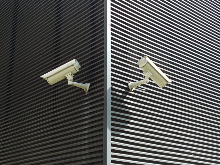 Best outdoor security camera: two cameras mounted on a slatted wall