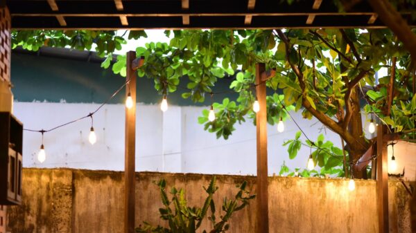 Best outdoor string lights: bulbs strung under a pergola