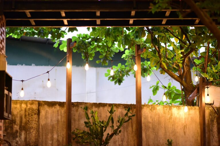 Best outdoor string lights: bulbs strung under a pergola