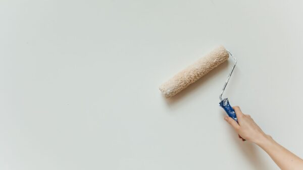 Best paint roller: a roller spreading fresh paint on an interior wall