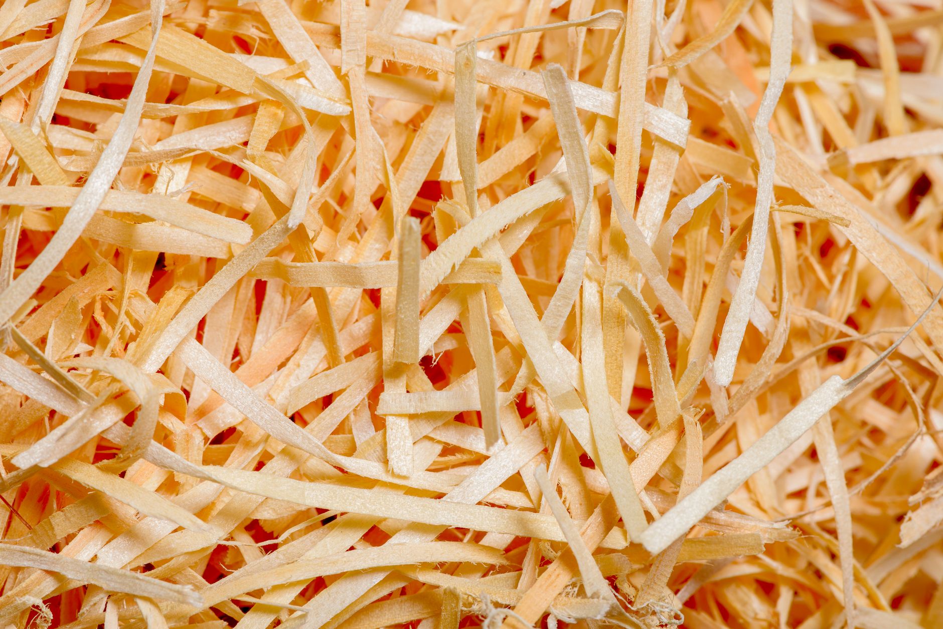 A pile of shredded paper strips