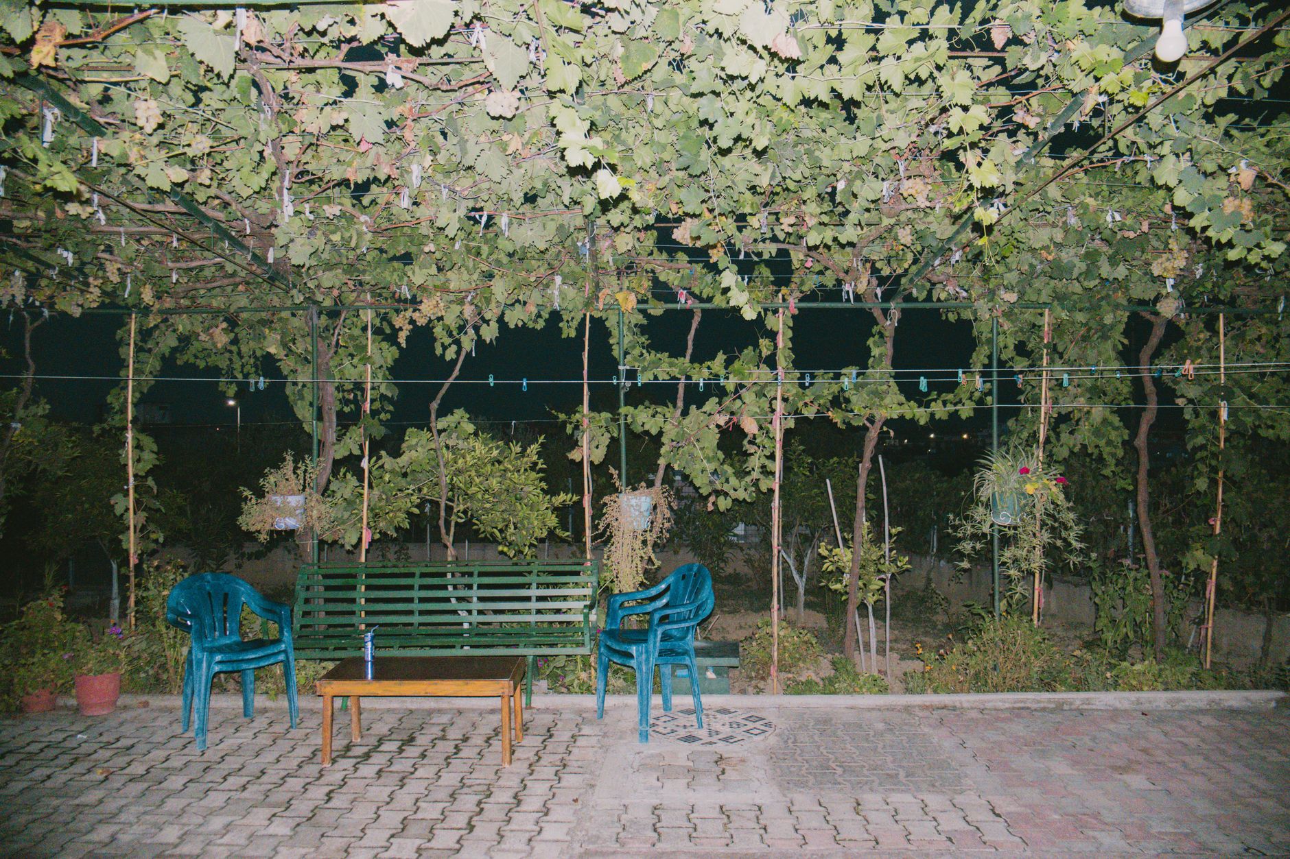 A backyard patio at dusk