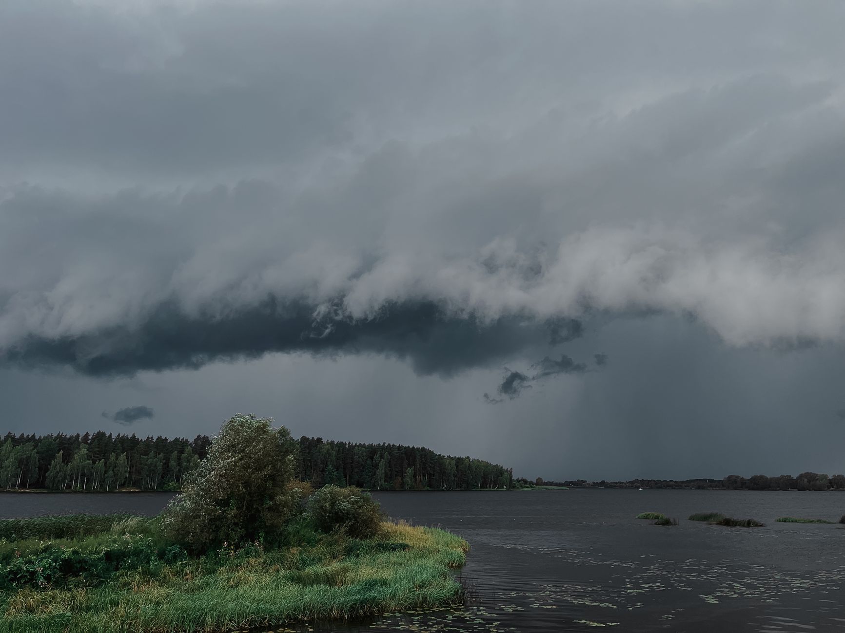 Storm clouds gathering over trees