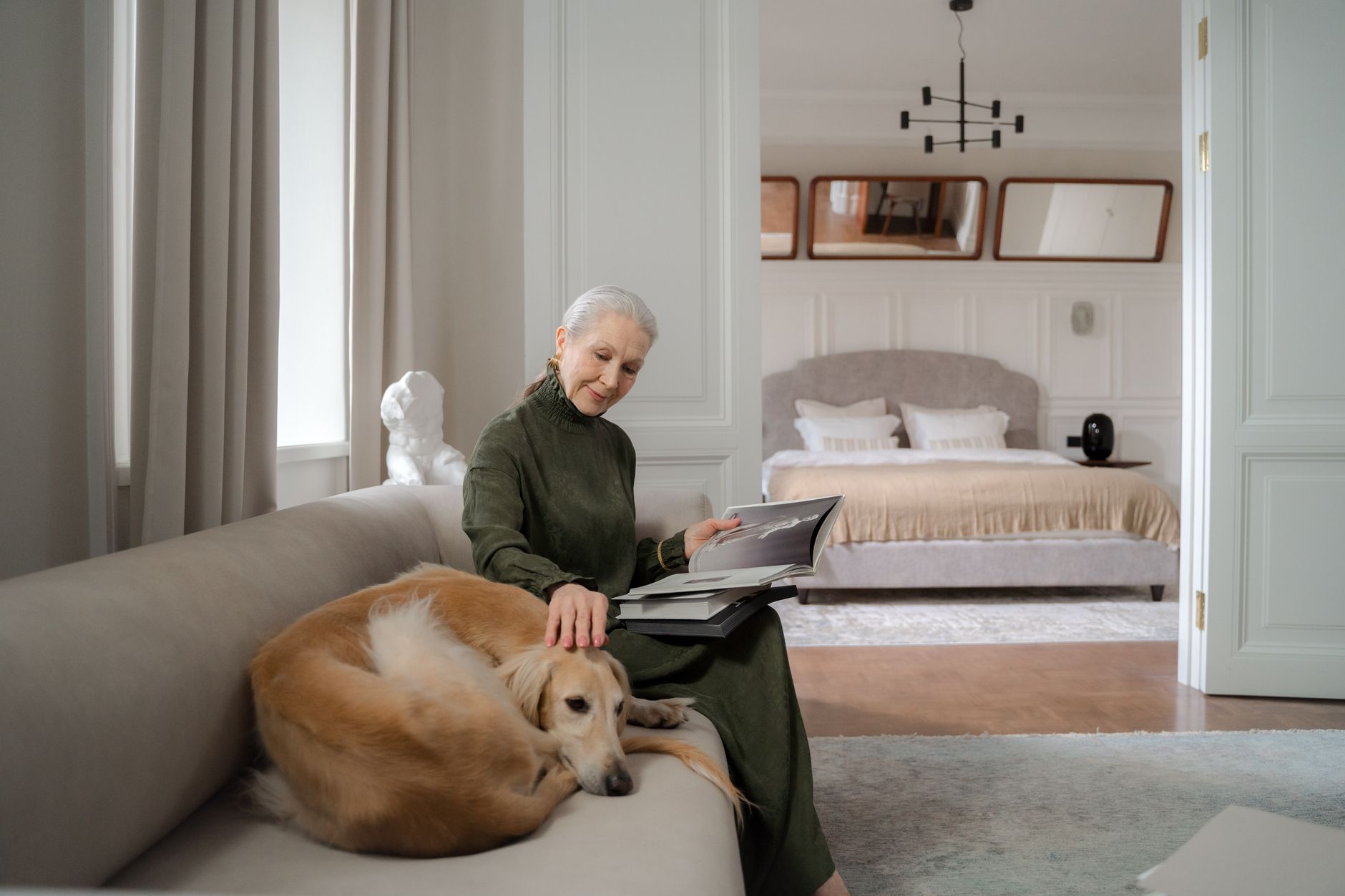 An older dog resting on a sofa