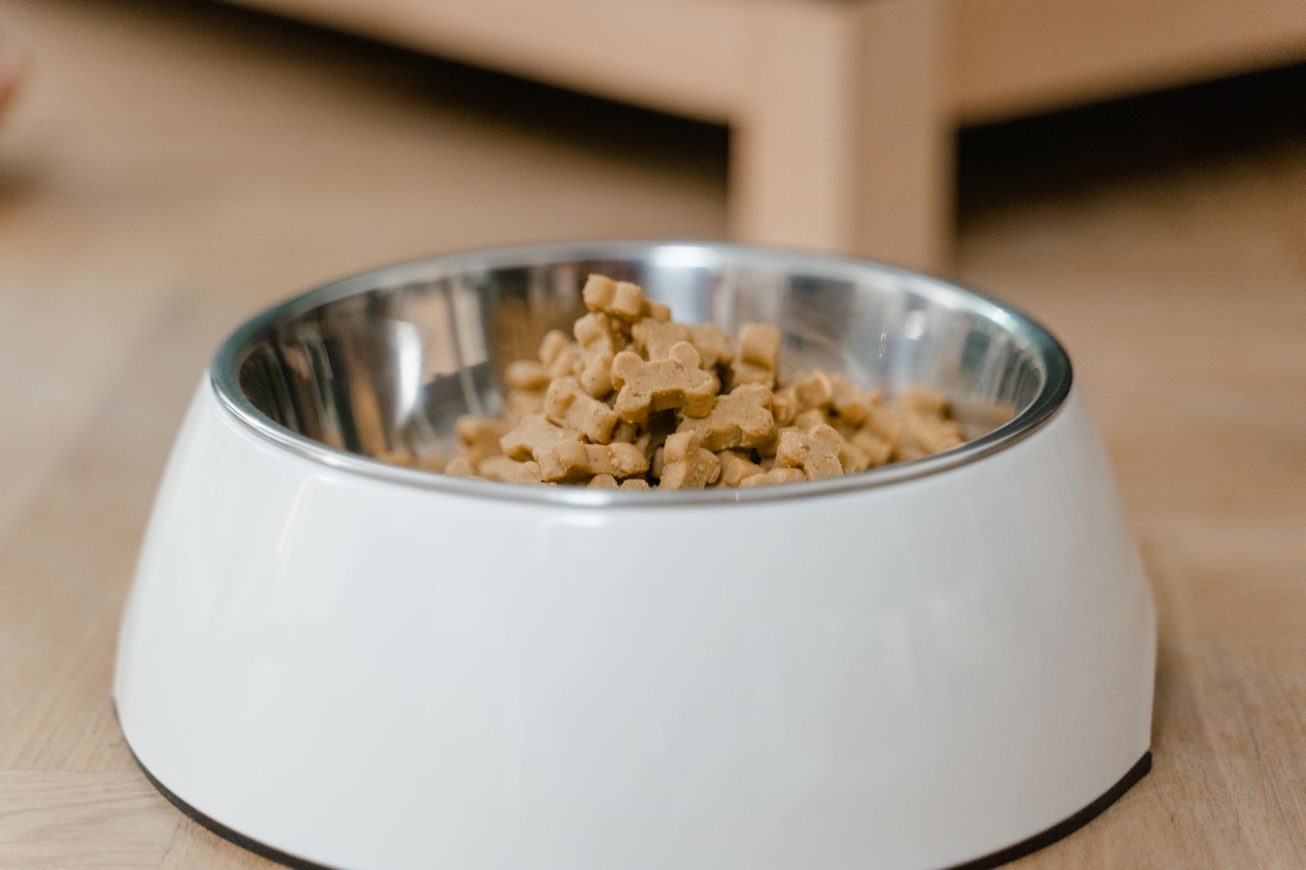 Pet food in a stainless steel bowl