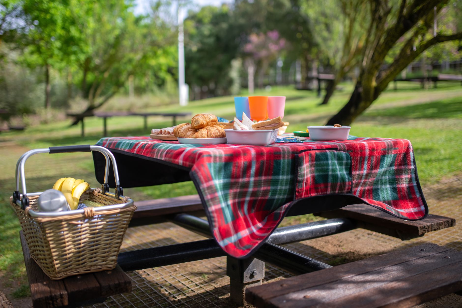 A picnic basket set on a blanket outdoors