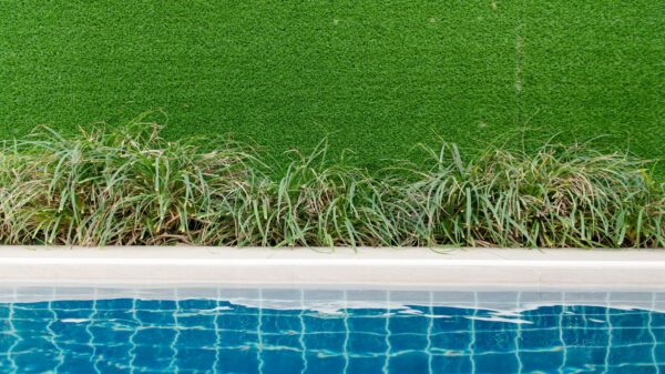 A backyard pool edged by grass