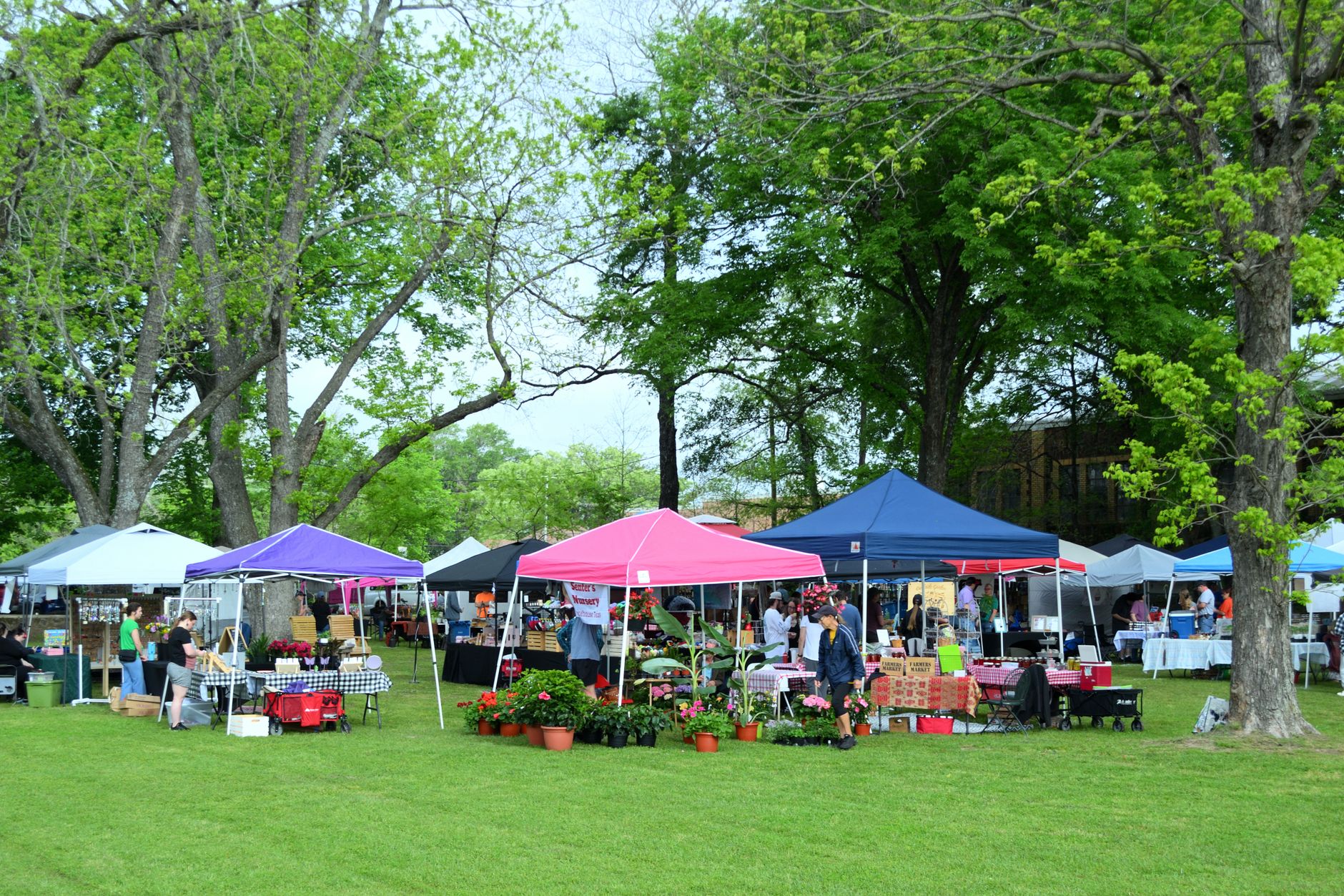 Canopy tents set up at an outdoor market
