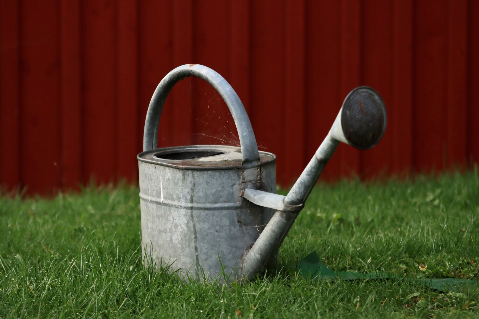 A metal watering can on a lawn