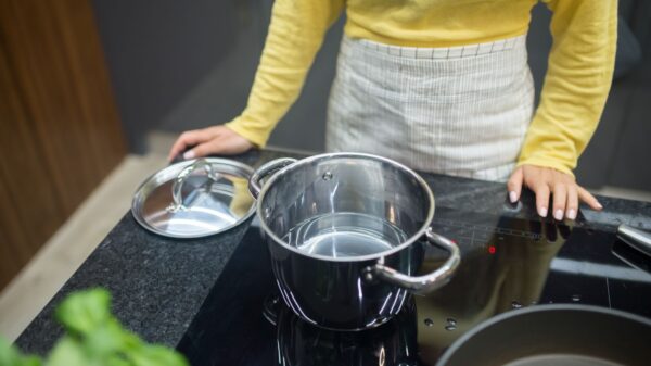 Best portable induction cooktop: a pot on a glass cooktop