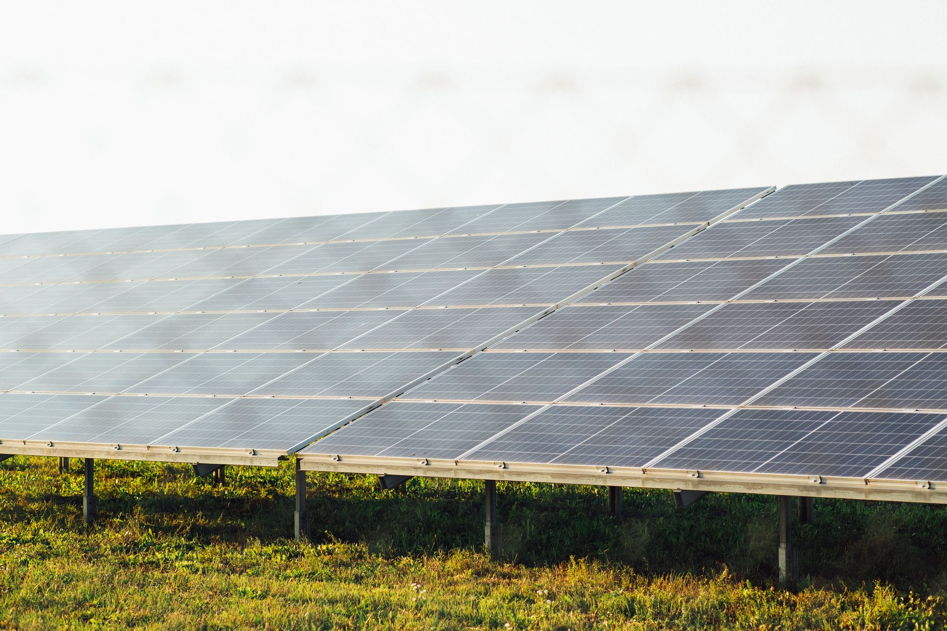 Rows of solar panels set up on grass