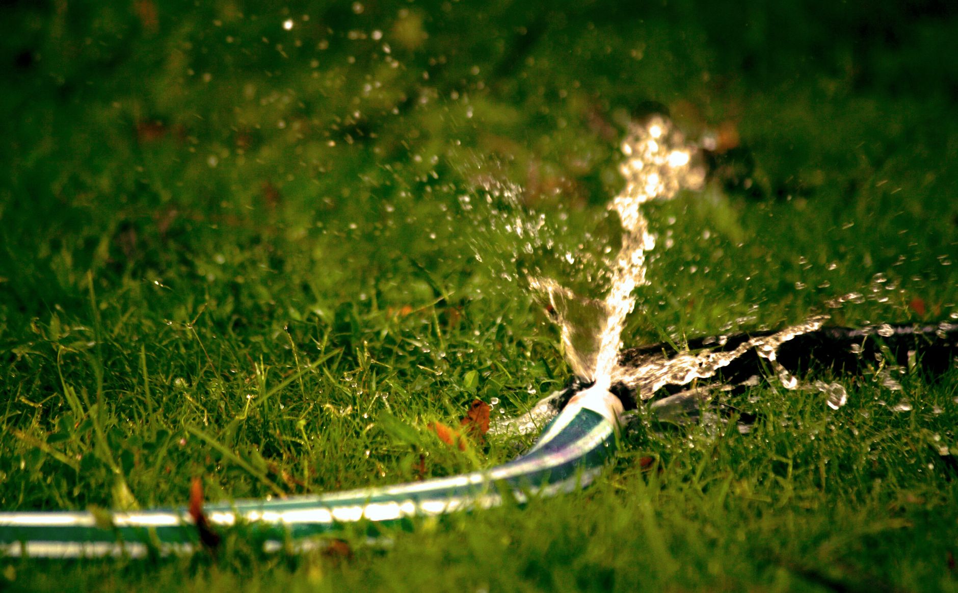 Water spraying from a hose leak