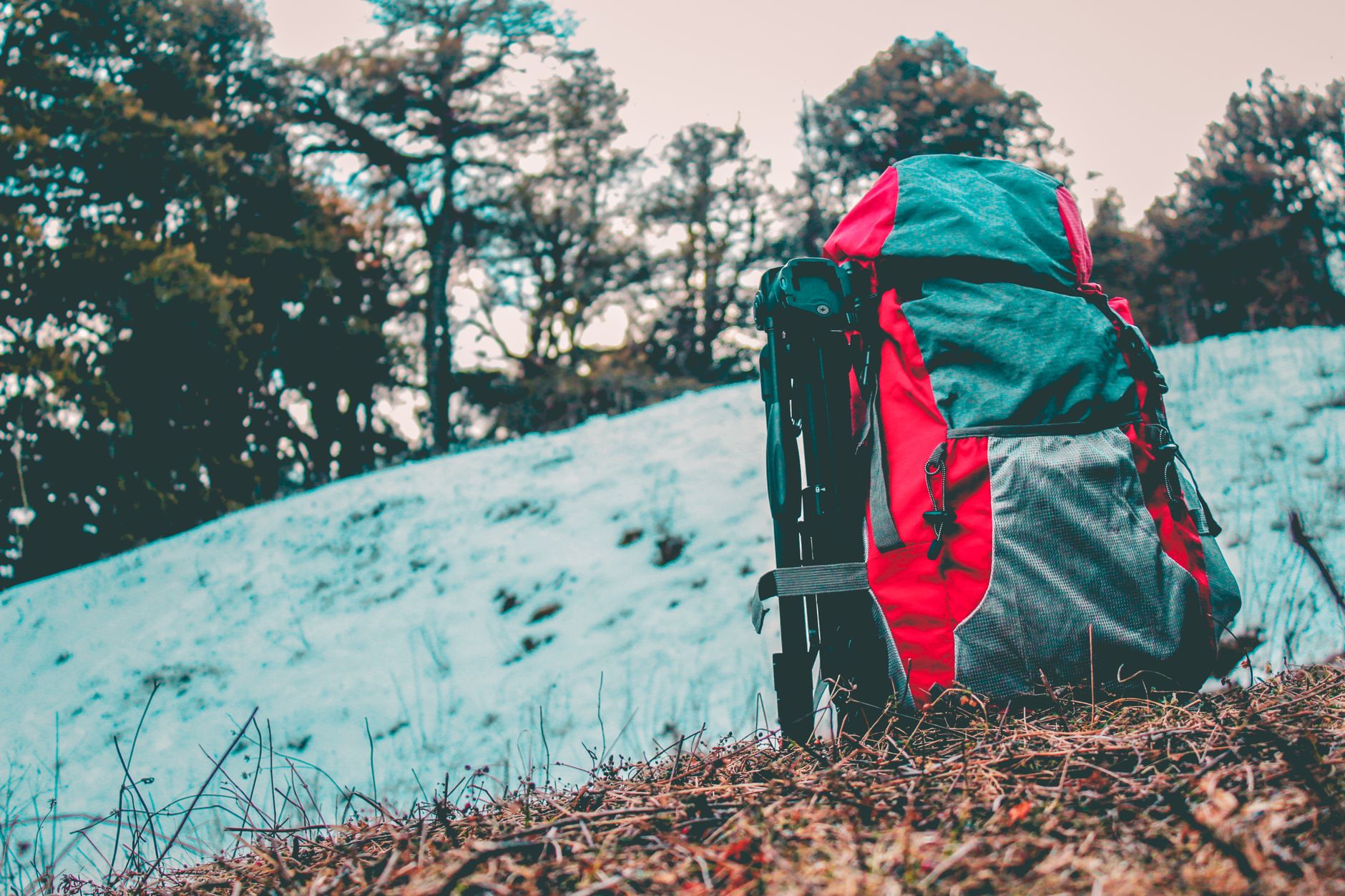 A hiker with a backpack on a trail