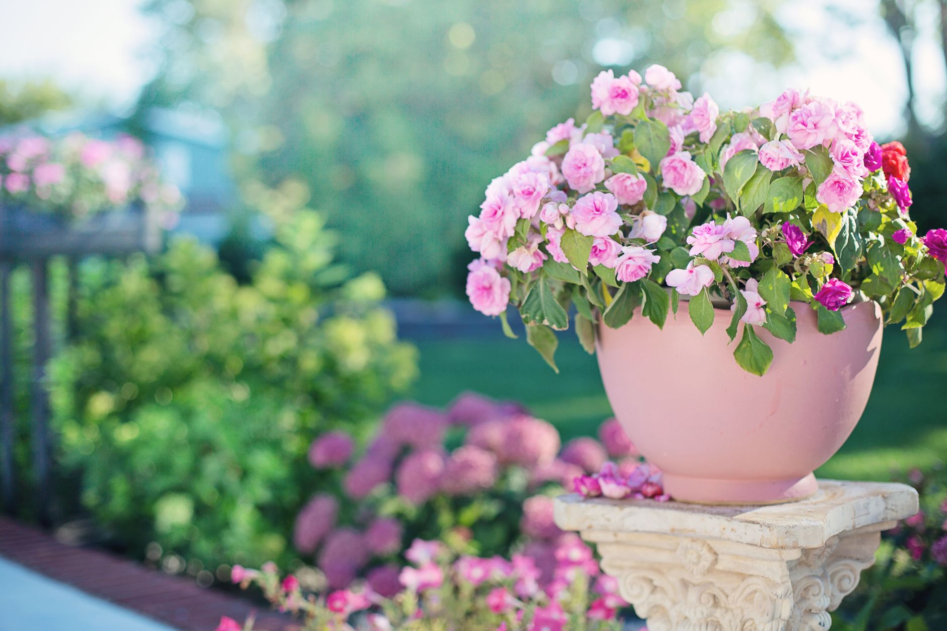 A tidy backyard flower garden