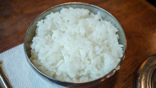 A bowl of cooked white rice