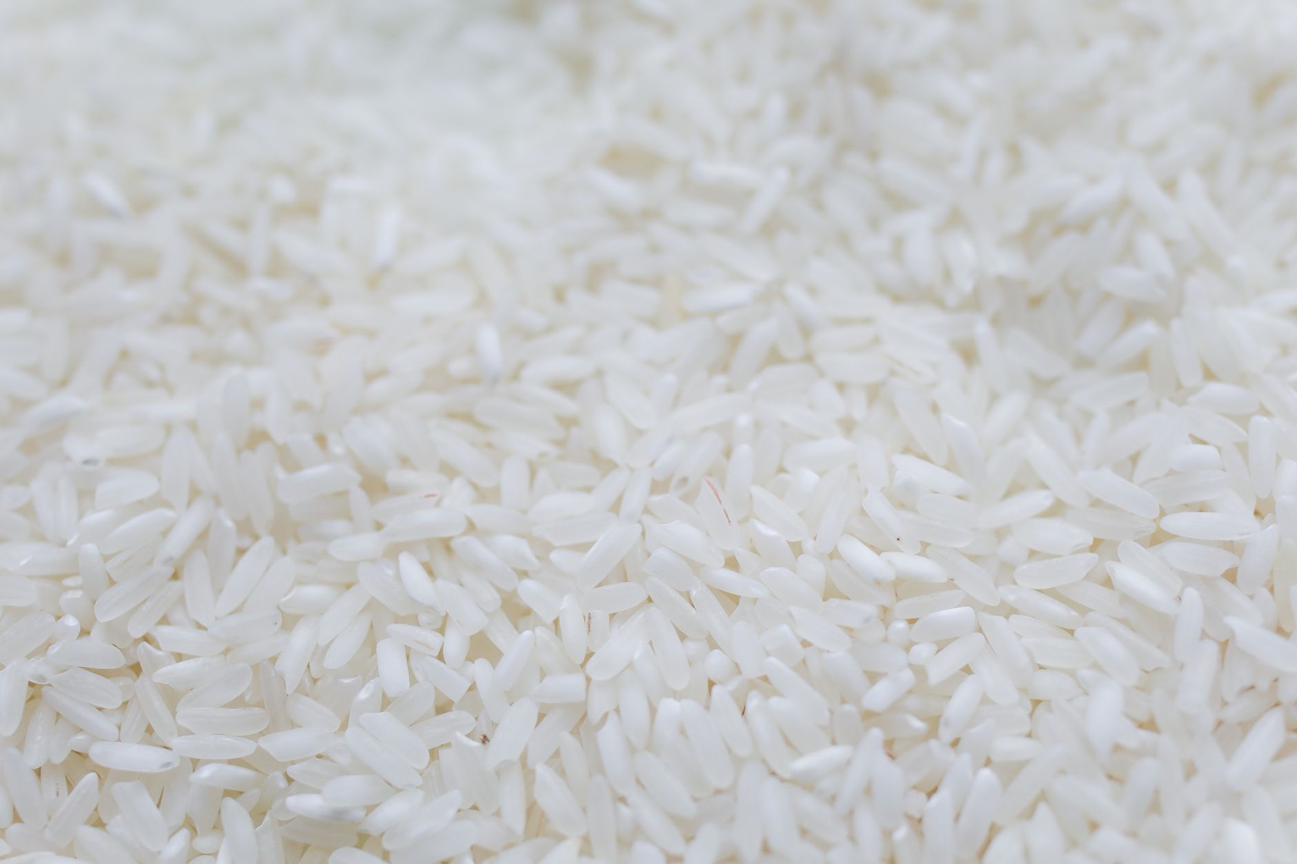 Uncooked white rice grains