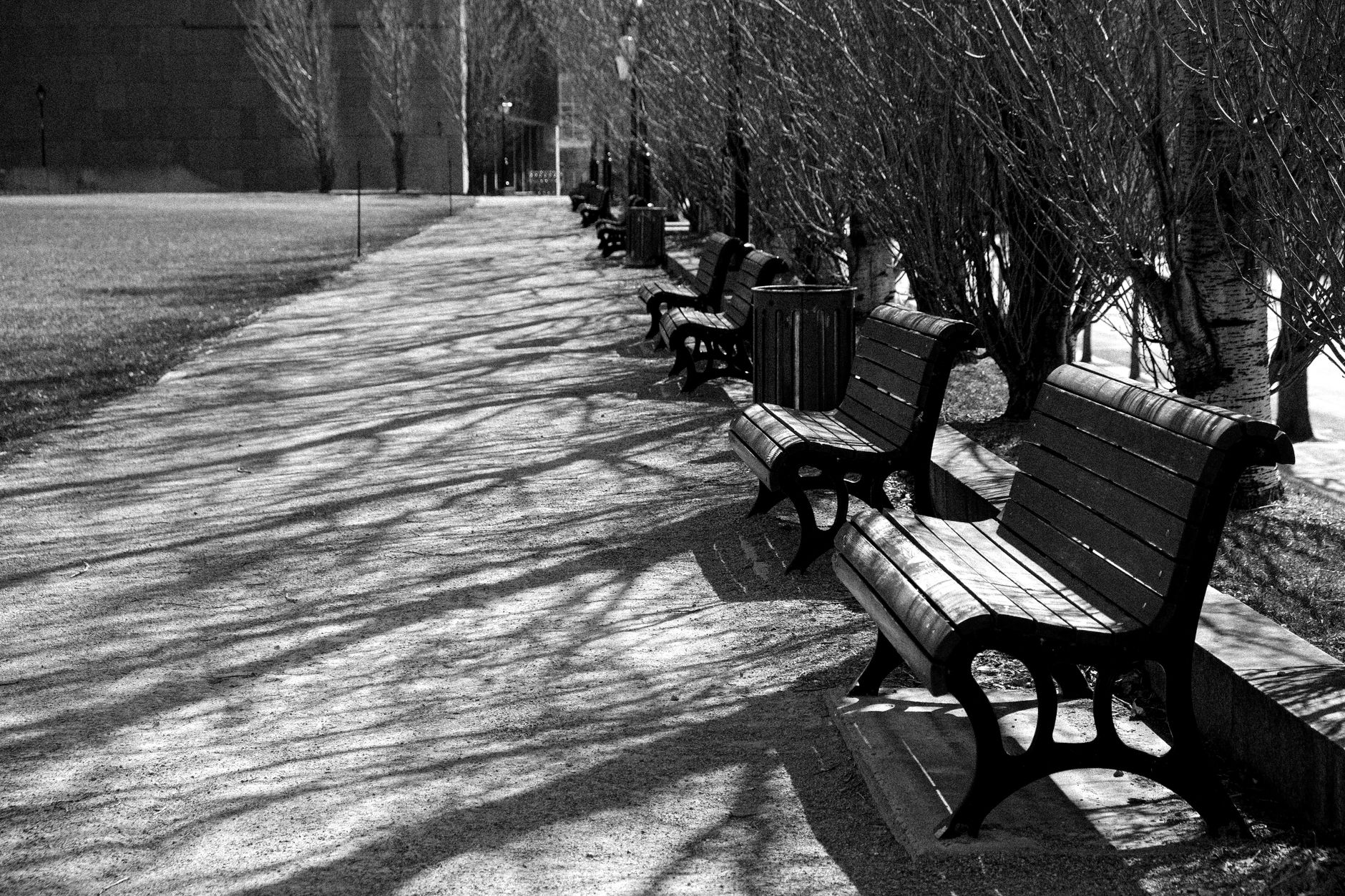 A park path with a bench for resting