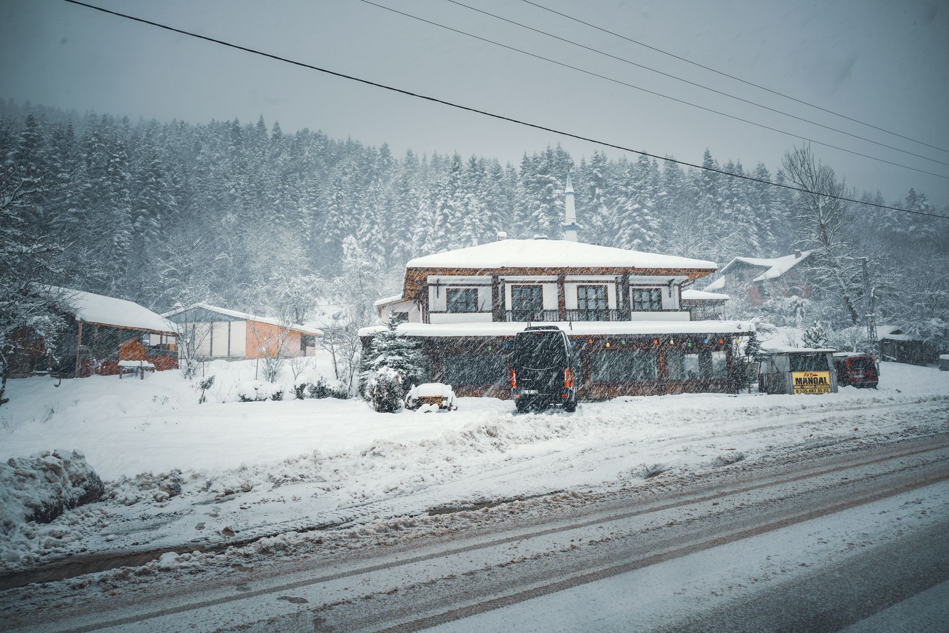 Houses along a road during a heavy snowstorm