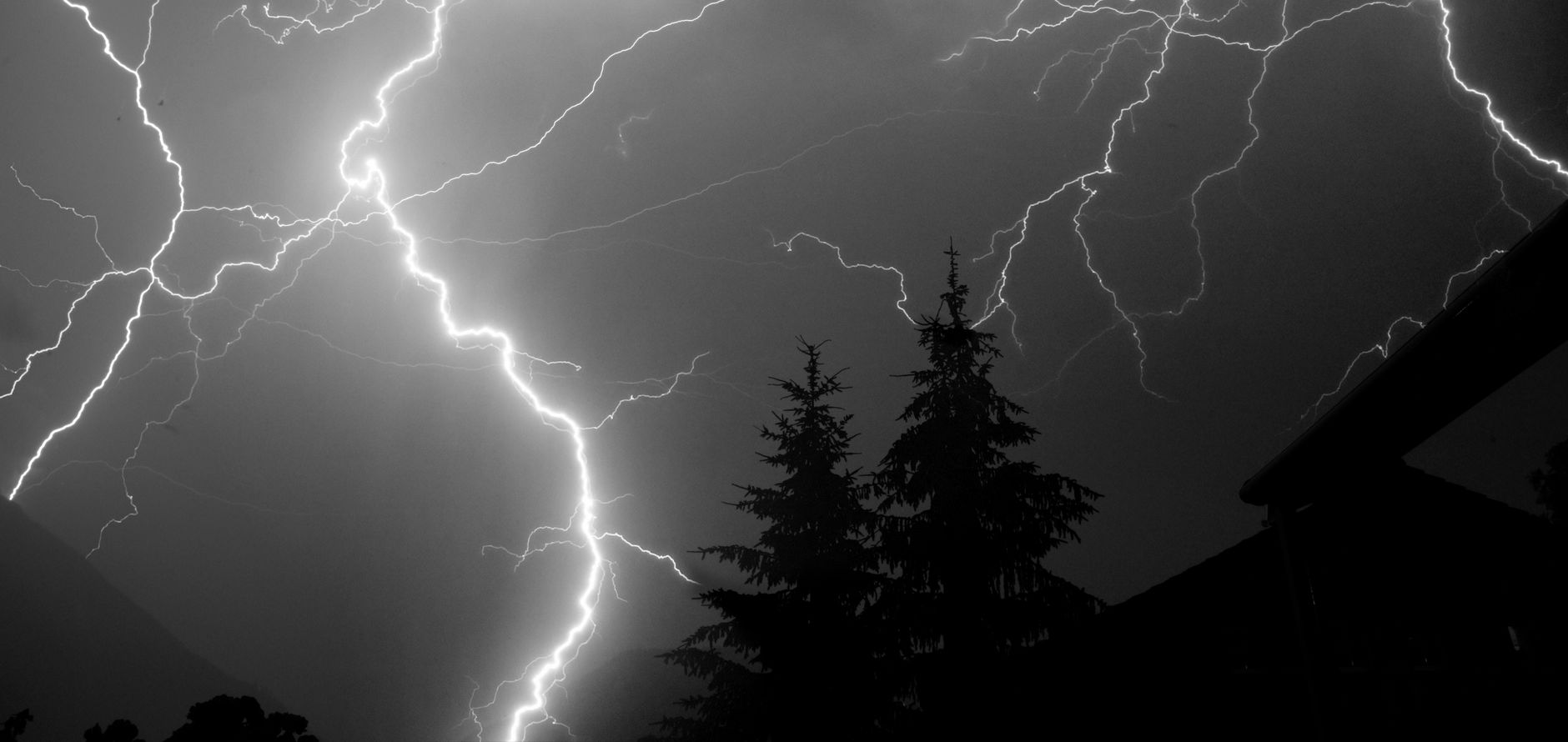 Lightning striking behind dark trees