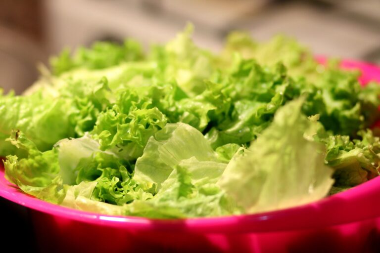 Best salad spinner: fresh lettuce in a large bowl