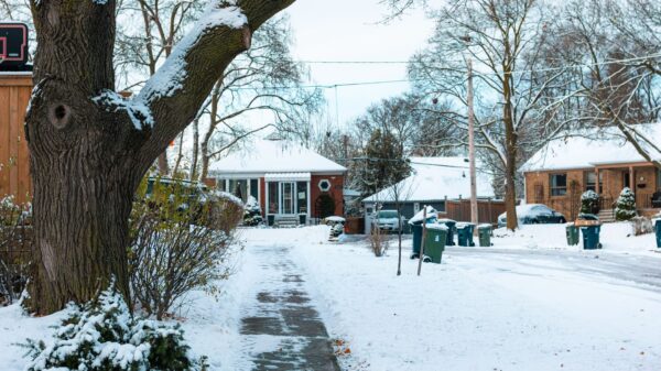 Best salt spreader: a snowy residential street lined with trees