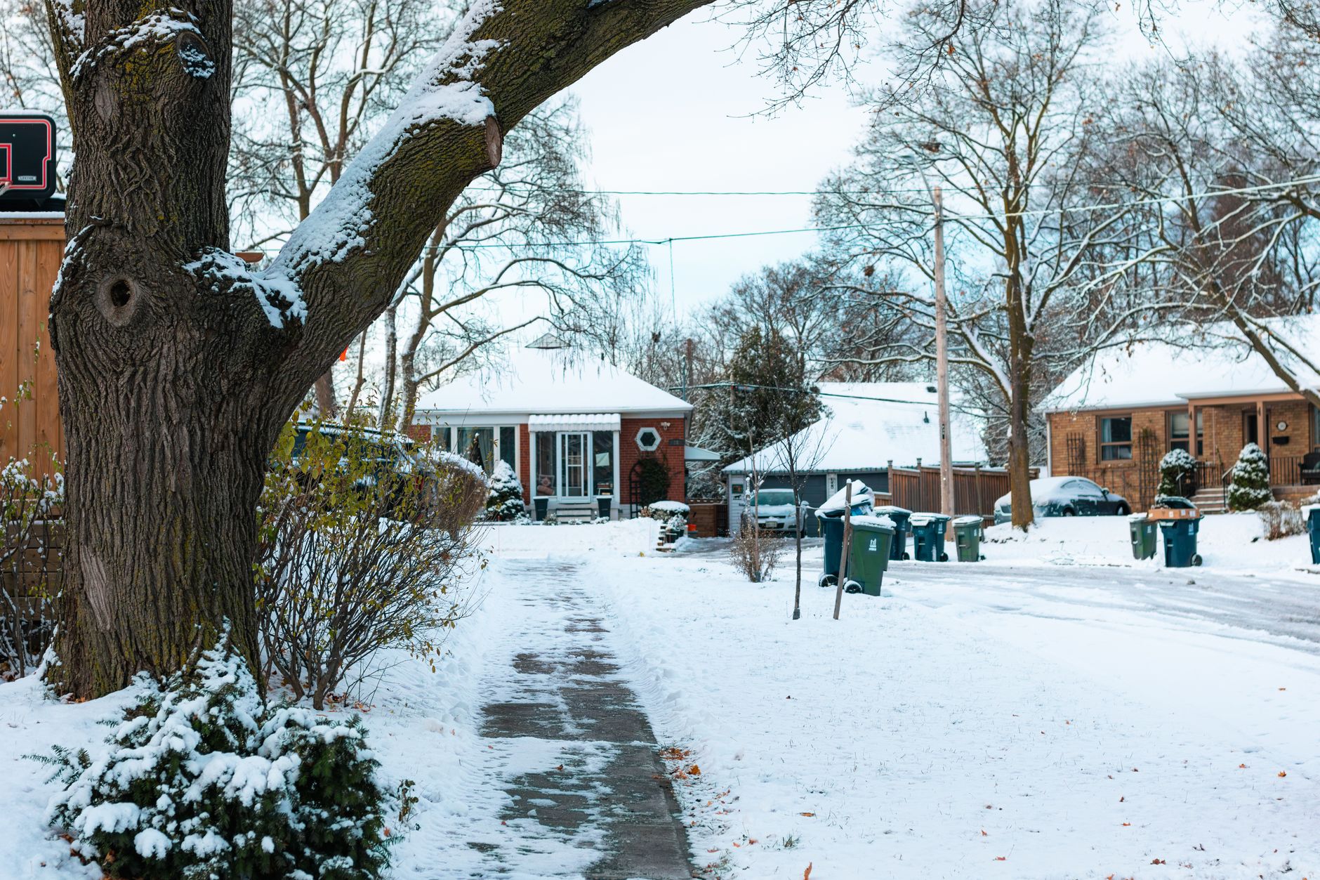 Best salt spreader: a snowy residential street lined with trees