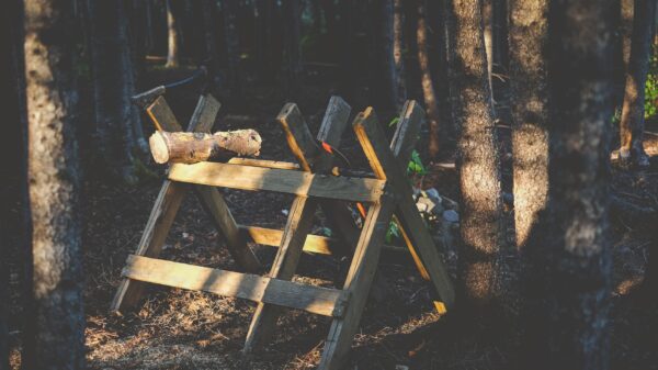 Best sawhorse: a board resting on sawhorses ready for cutting