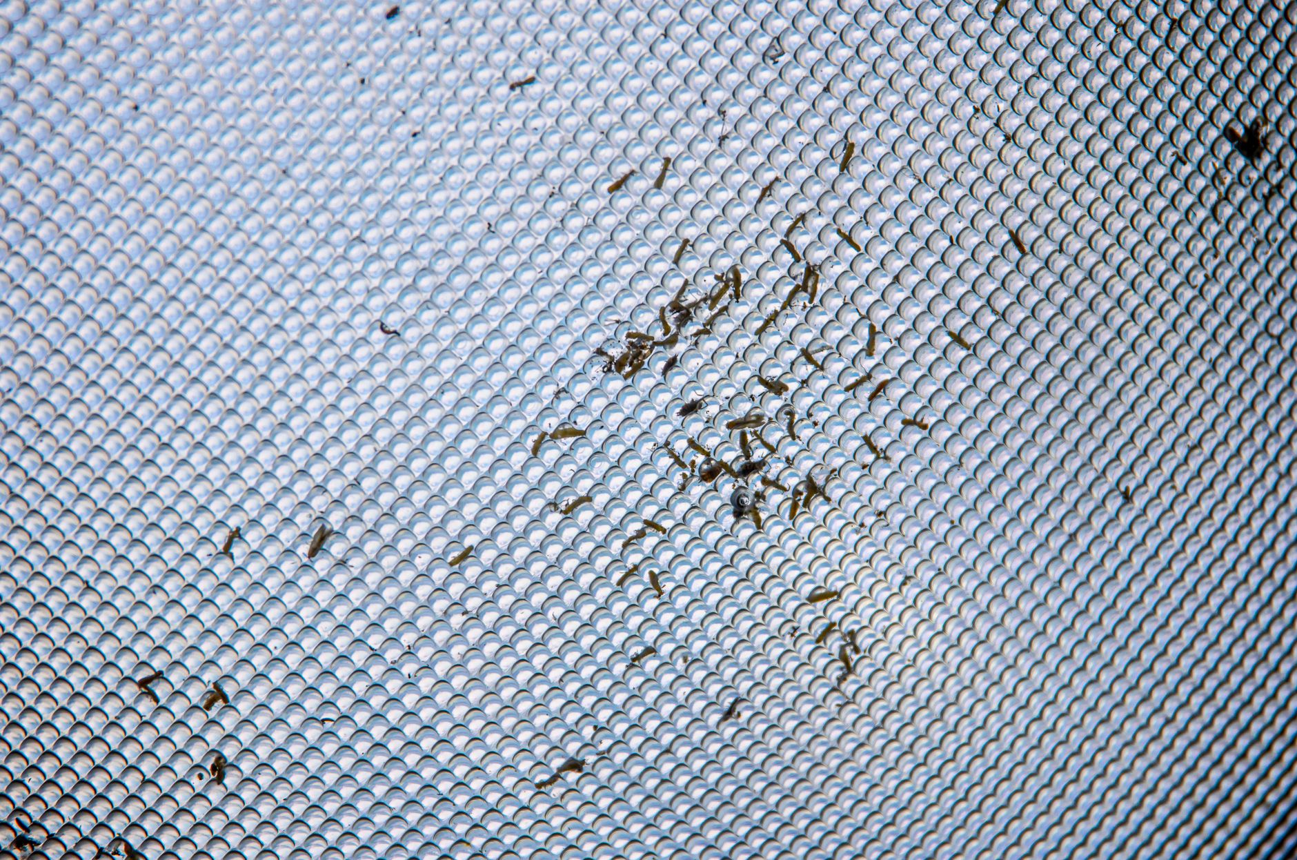 Close view of window screen mesh