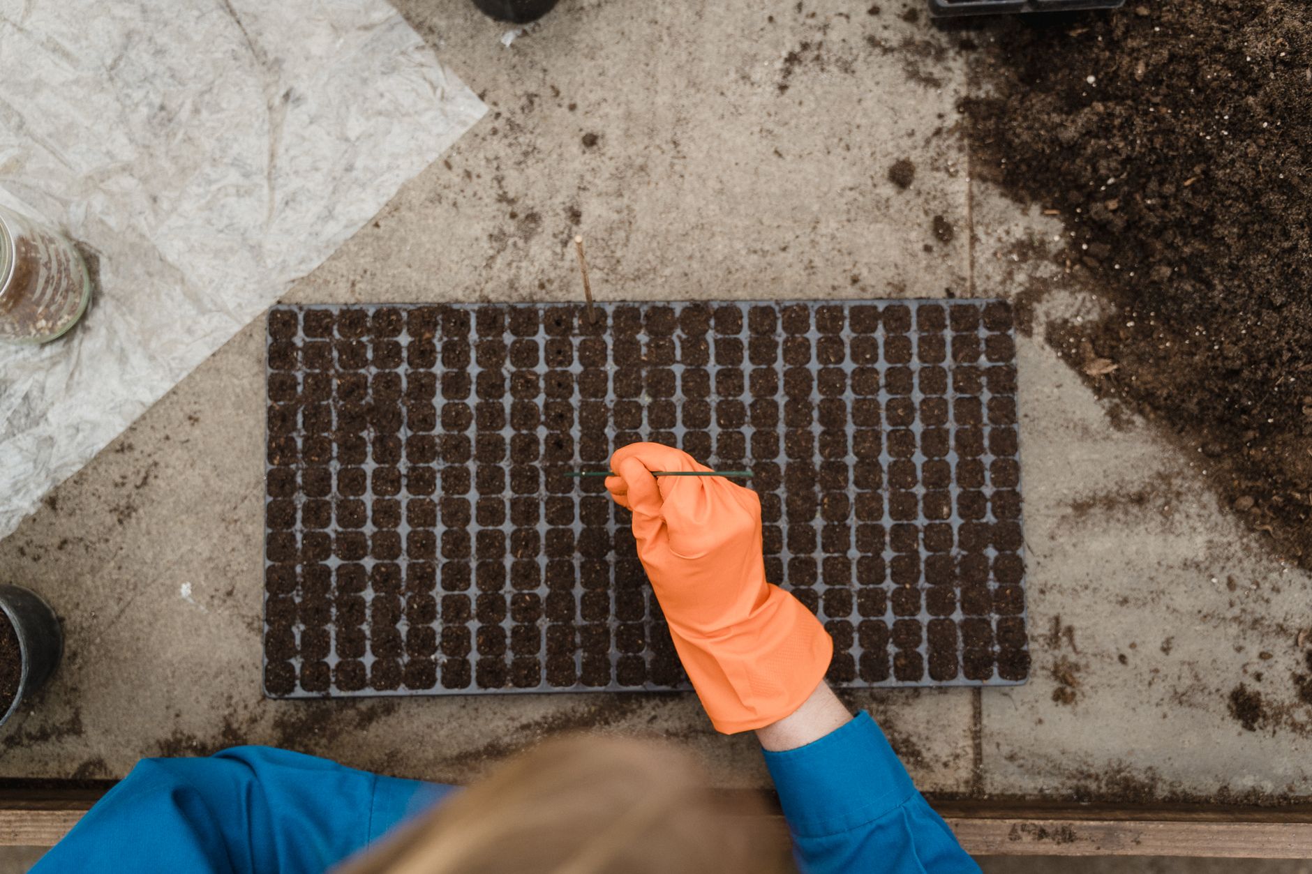 Hands planting seeds in potting soil