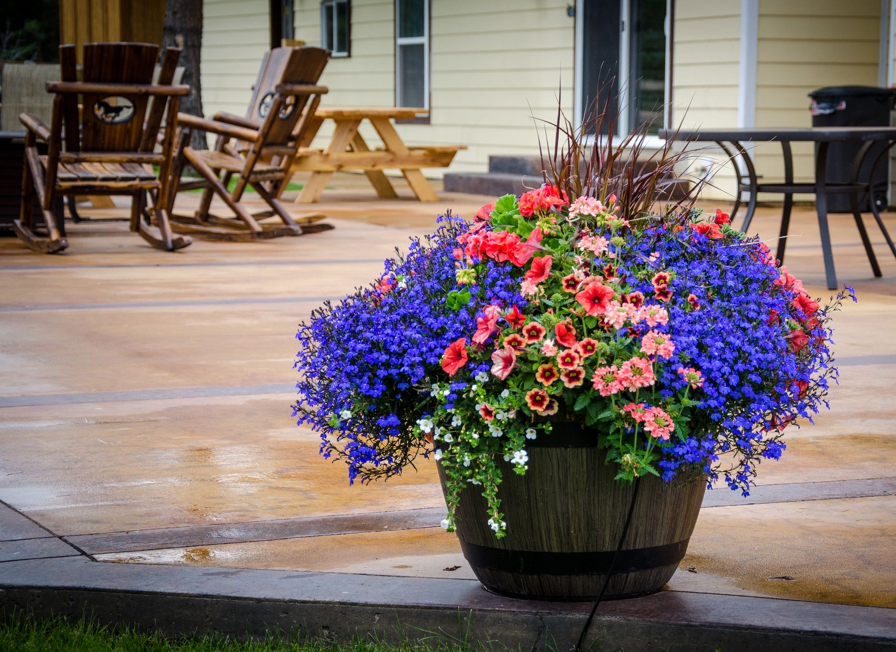 Large planters with flowers on an outdoor patio