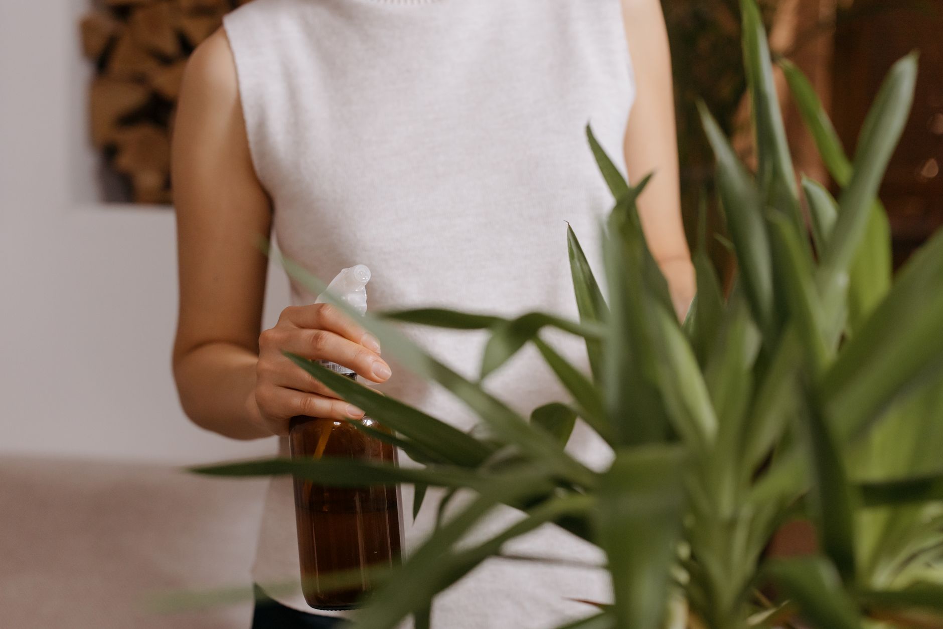 A person watering potted houseplants
