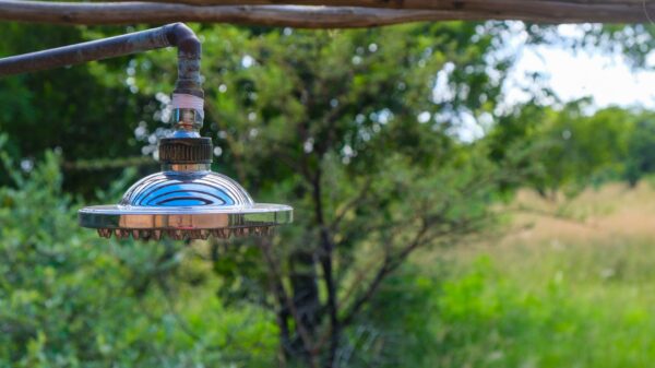 Best shower head filter: water running from a shower head