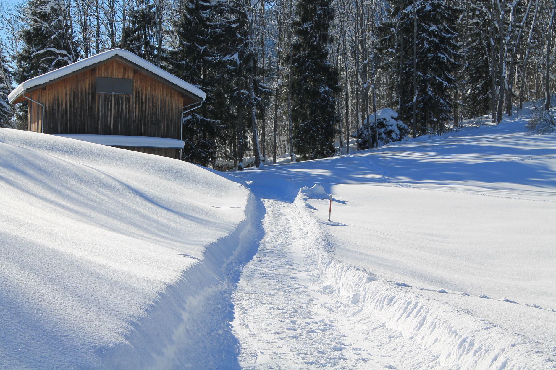 A cleared path through deep snow near a wooden cabin
