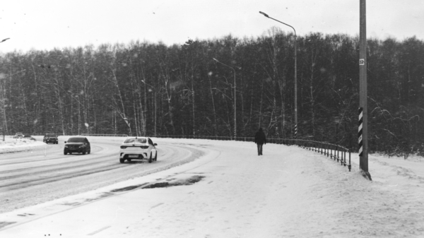 Cars on a snowy road beside a forest