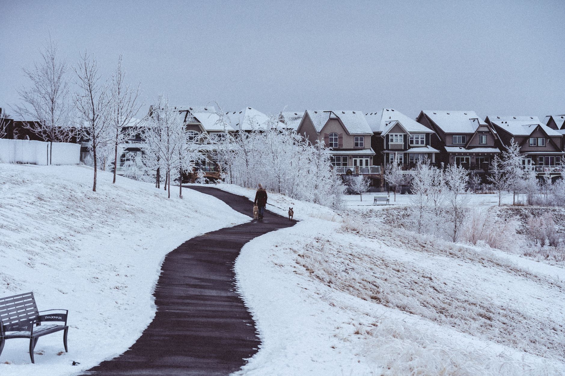 A cleared path winding through snow toward houses