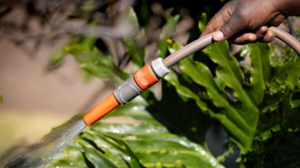 Best soaker hose: water reaching plants in a home garden bed
