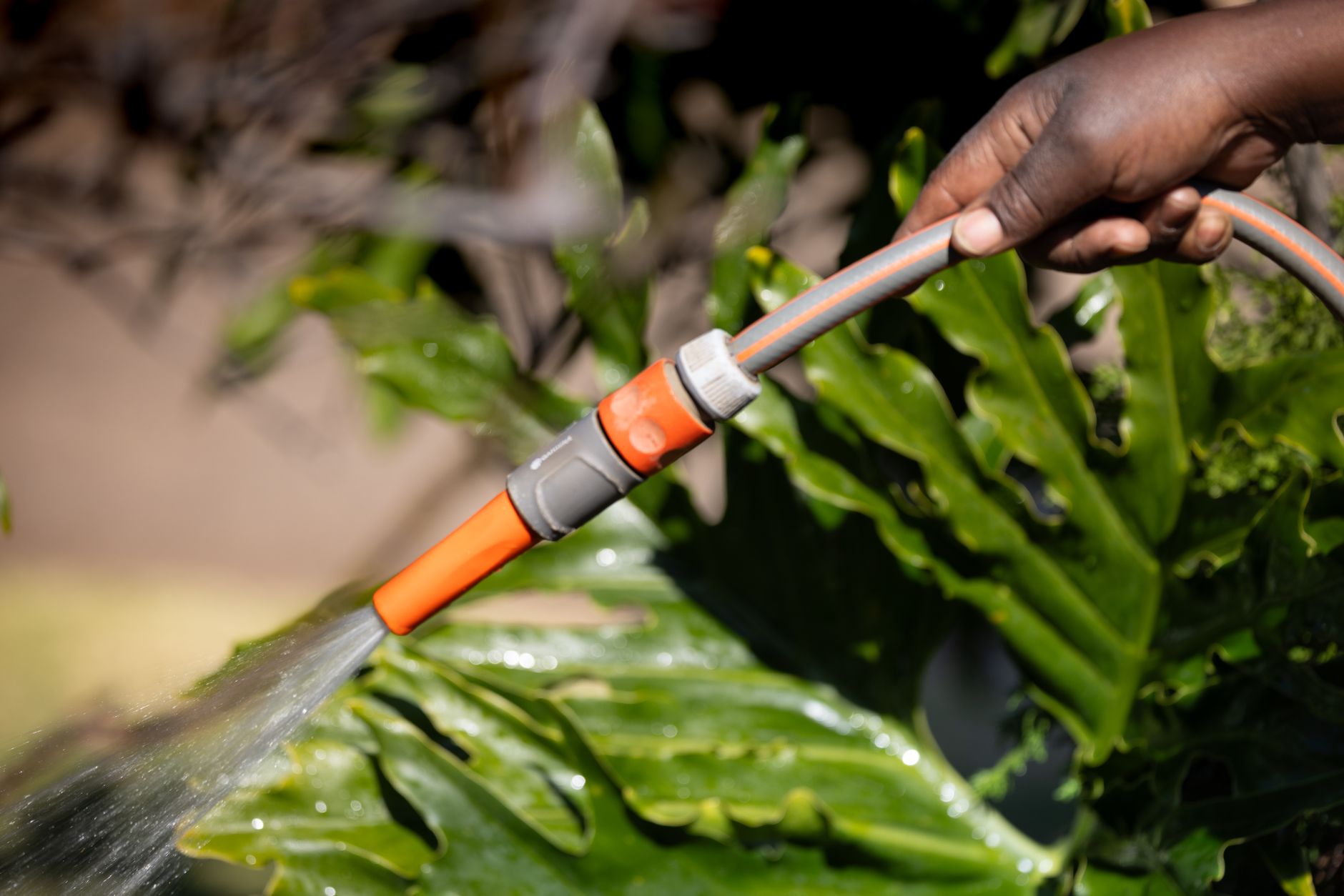 Best soaker hose: water reaching plants in a home garden bed
