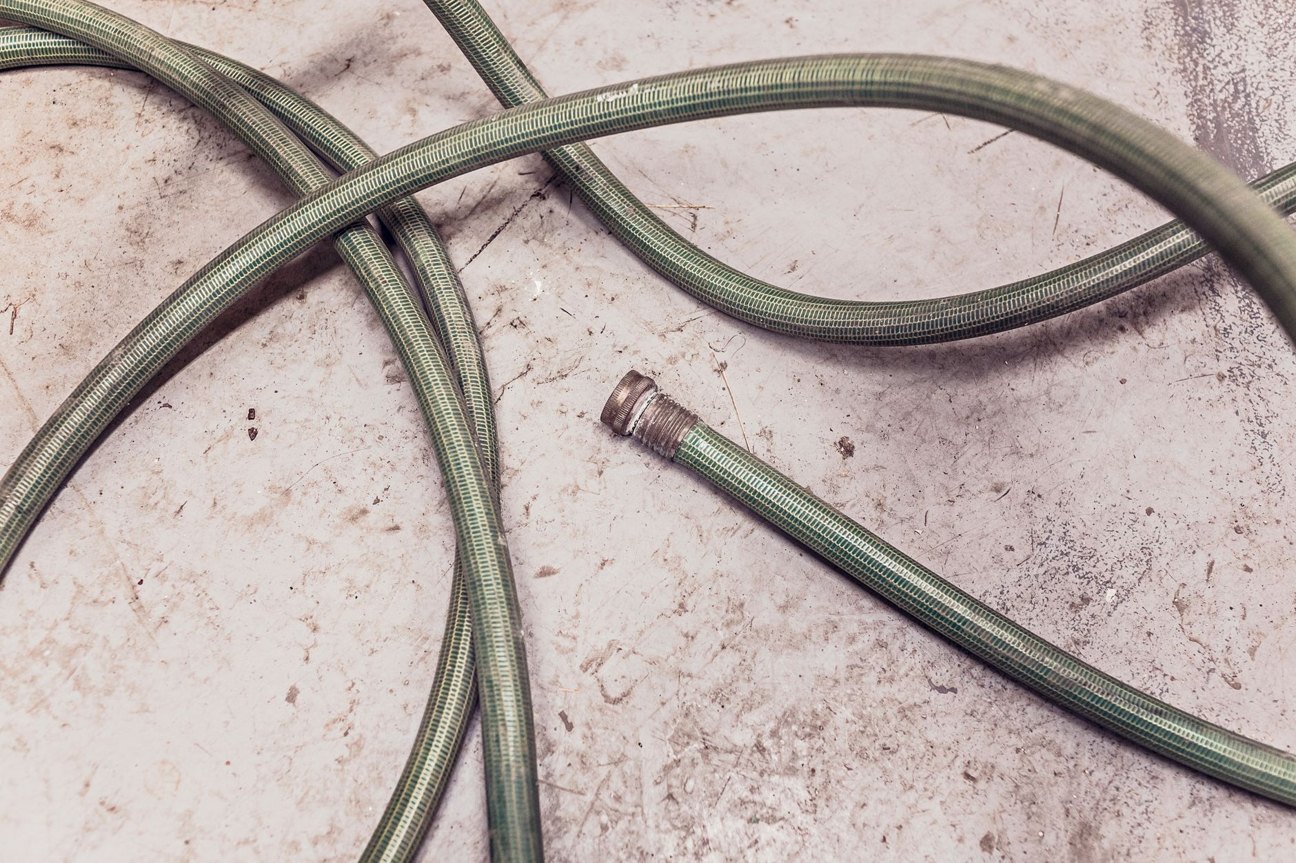 A garden hose lying on grass in a yard
