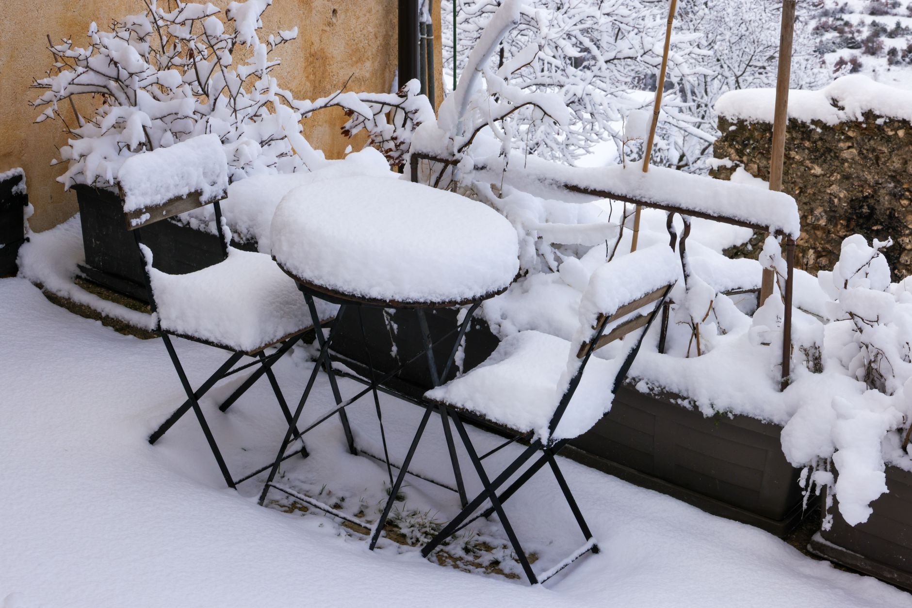 A garden covered in winter snow