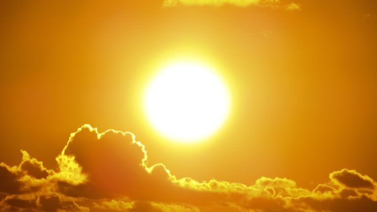 Best solar oven: cooking outdoors with the power of the sun
