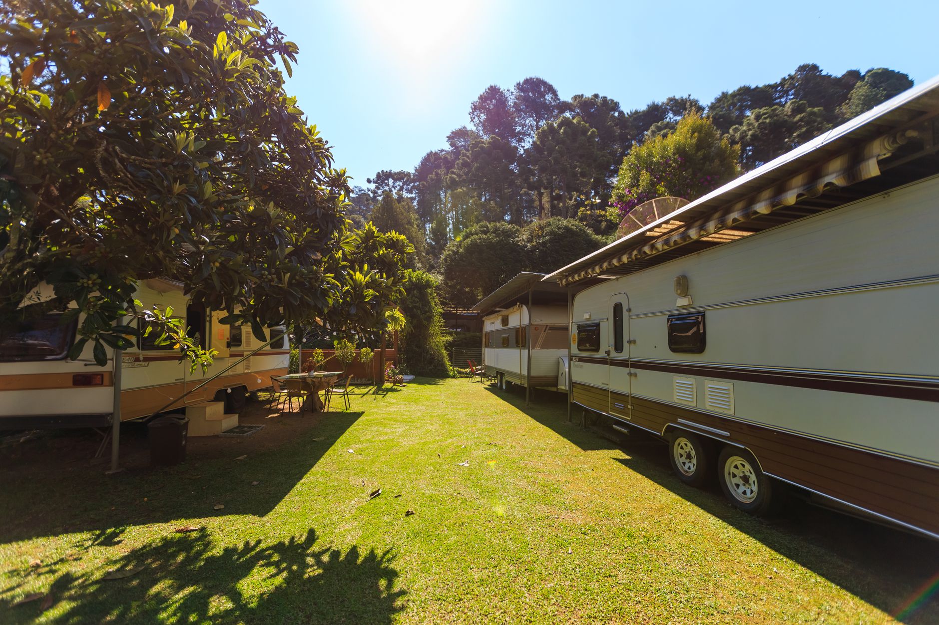 Camper trailers on a sunny lawn